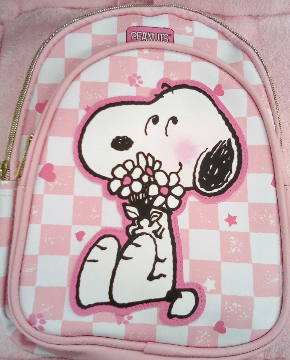 Snoopy Double Zipper Backpack